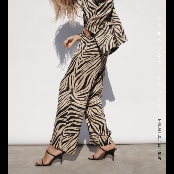 Fluid Animal Print Pants - Picture 4 of 8